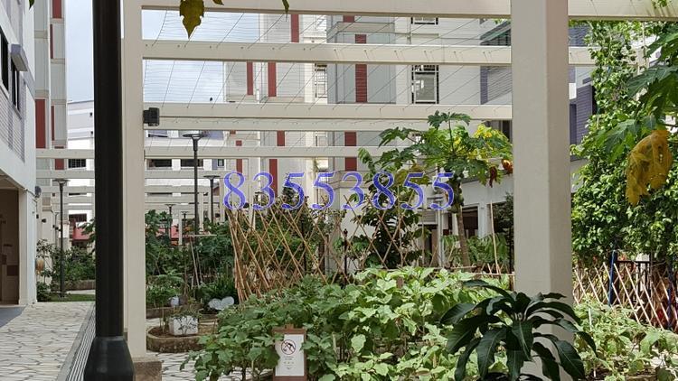 Blk 455 Jurong West Street 42 (Jurong West), HDB 4 Rooms #149768772